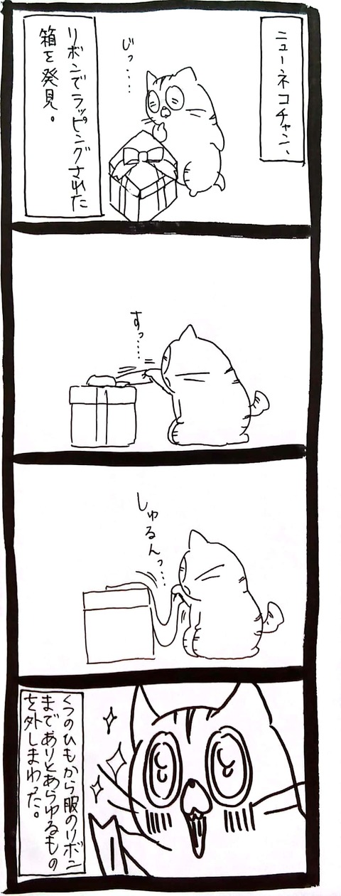 48_2