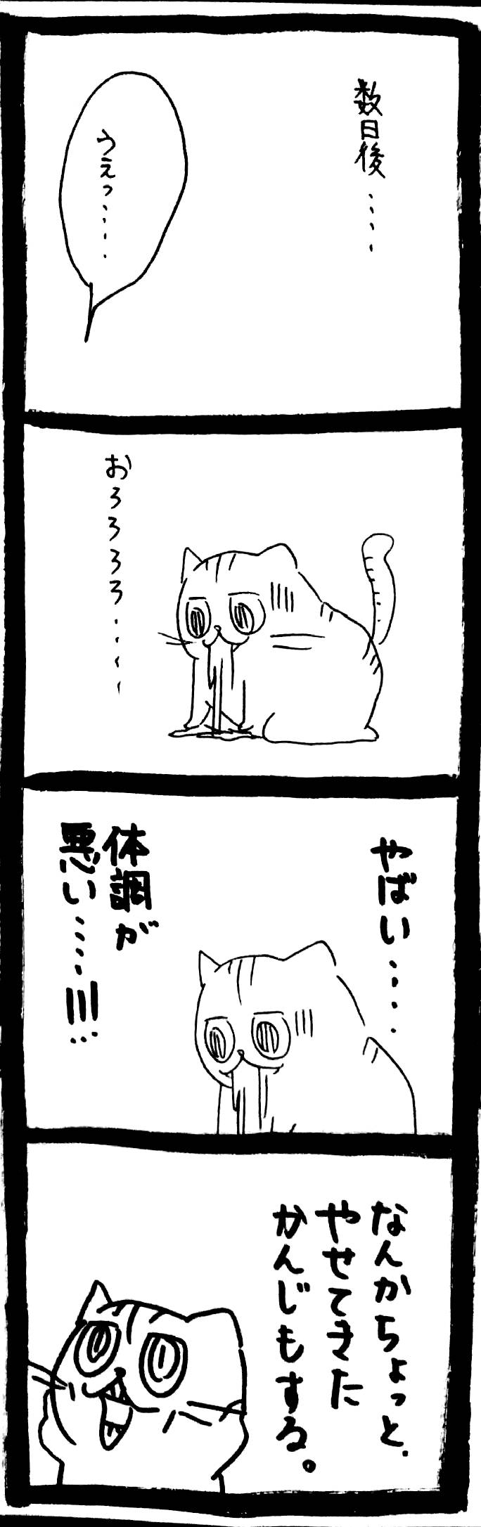 PEPPY 月刊ムーコラボ 宇宙猫製造BOX 猫 ねこ UMA 未確認動物