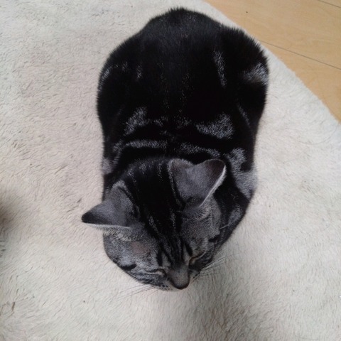 26-01-09-22-14-55-078_photo