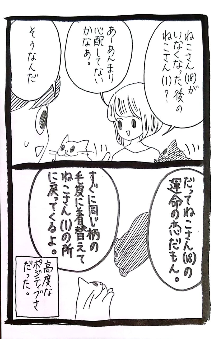 ねこさん 18 の愛した猫28 ﾈｺﾁｬﾝのﾆﾝｹﾞﾝ育成日記 Powered By ライブドアブログ
