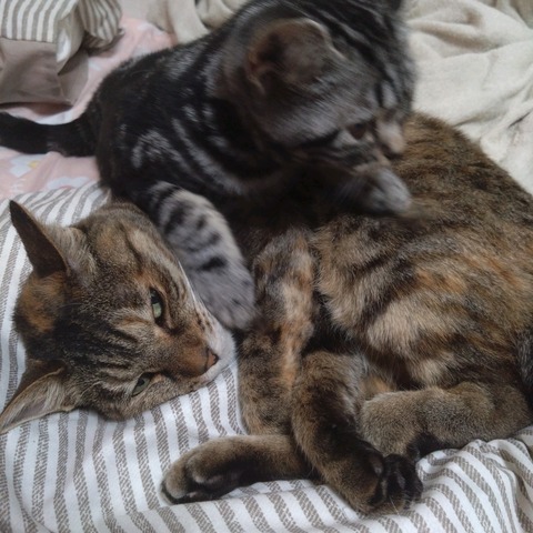 24-07-04-14-42-41-583_photo