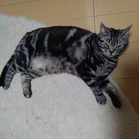 26-03-06-14-06-49-966_photo