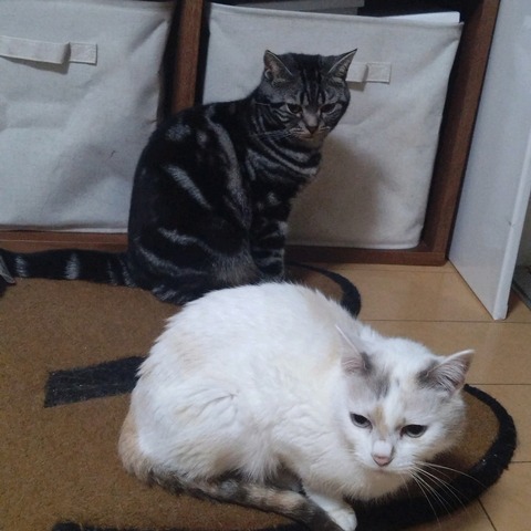 25-05-10-21-45-27-296_photo