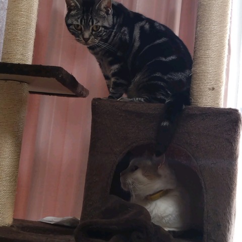 25-04-24-10-09-50-582_photo