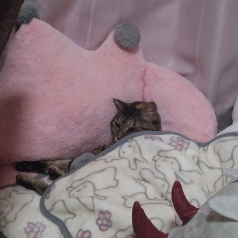 24-03-31-22-00-20-018_photo