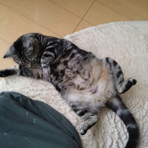 25-10-26-11-30-23-701_photo