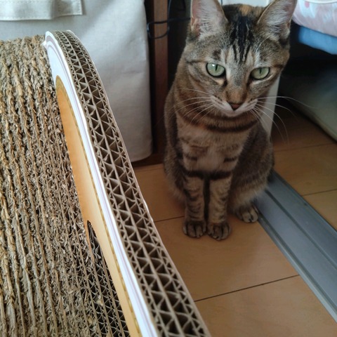 23-11-20-11-01-43-594_photo