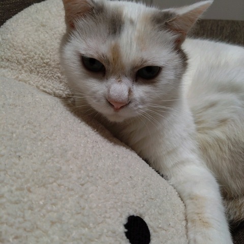 22-09-12-20-07-52-147_photo