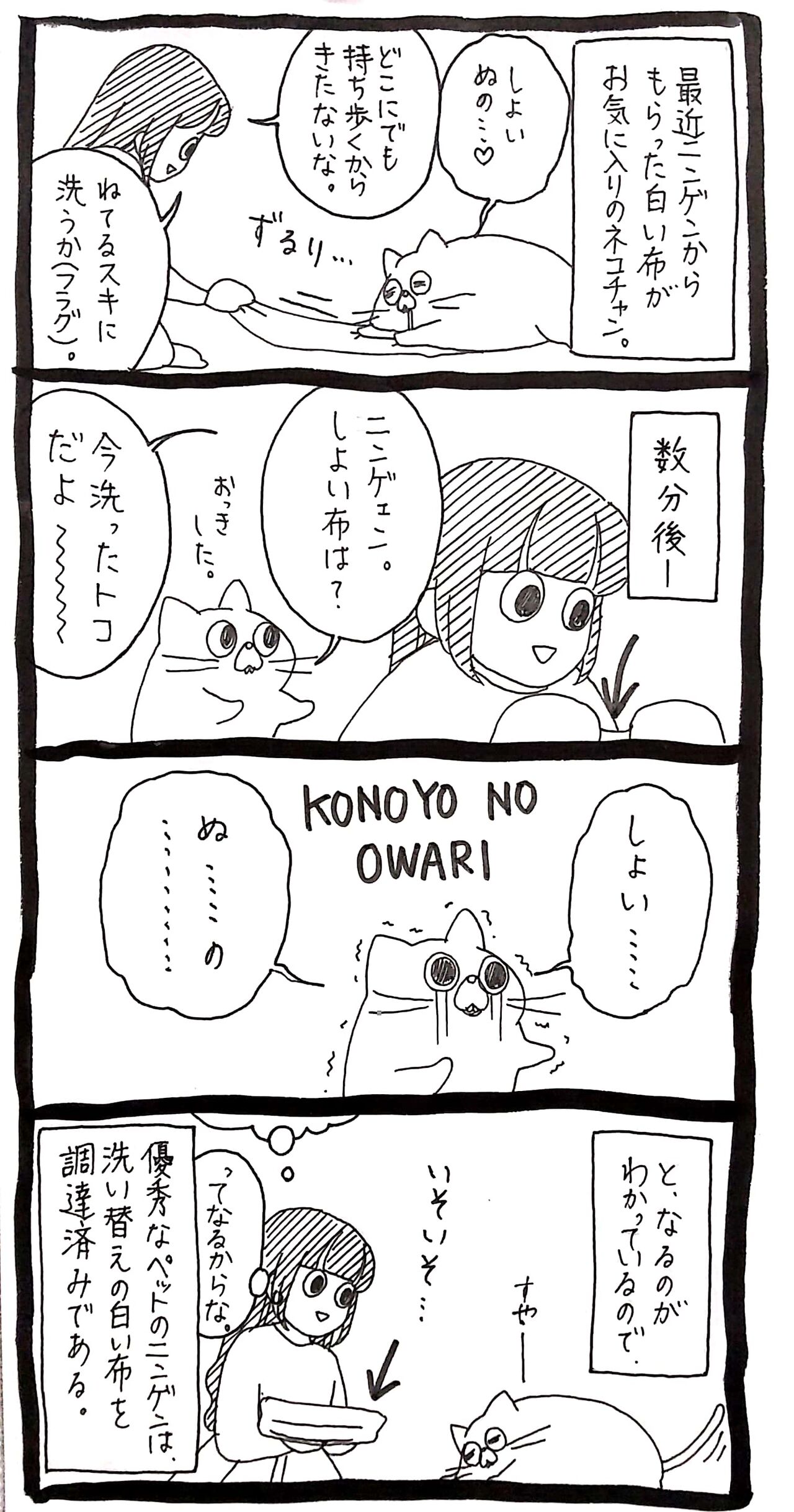 ネコチャンと白い布 ネコチャンのニンゲン育成日記 Powered By ライブドアブログ ネコチャンと白い布 ネコチャンのニンゲン育成日記 Powered By ライブドアブログ