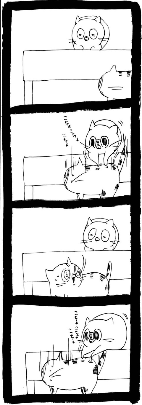 46