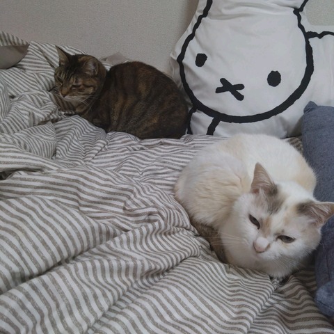 23-02-28-18-47-07-079_photo