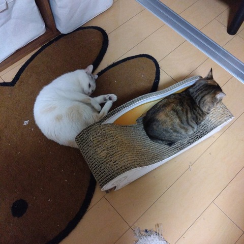 23-05-12-20-57-25-967_photo