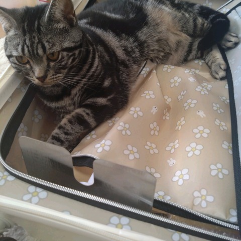 25-02-14-13-59-58-584_photo