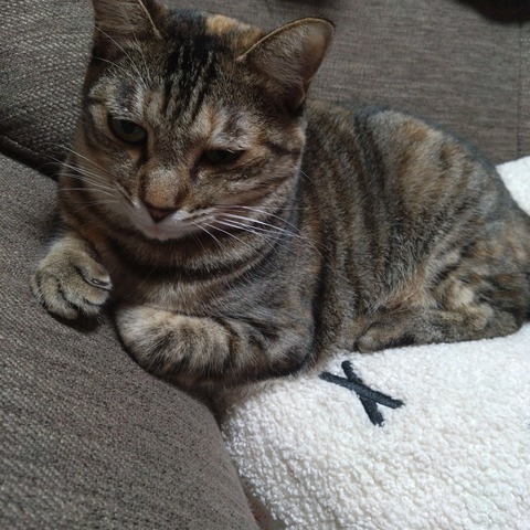 22-10-22-21-23-25-135_photo