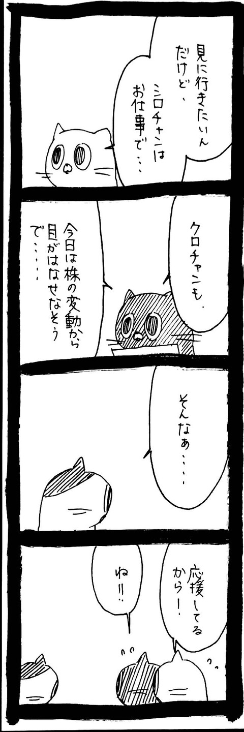 11_4