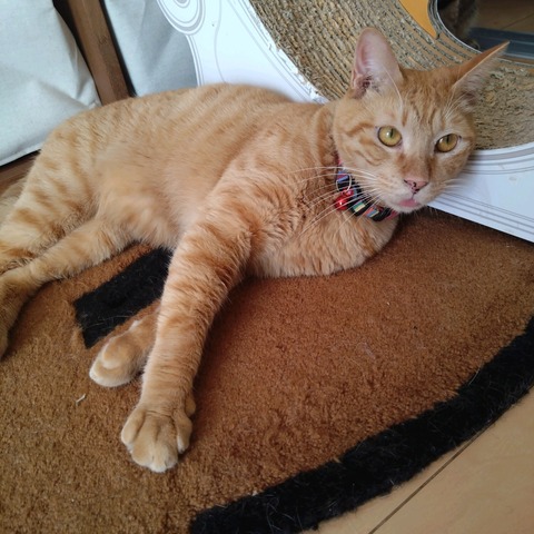 23-11-20-11-01-35-840_photo