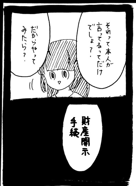 48_3