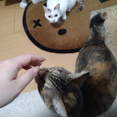 23-06-20-20-58-57-089_photo