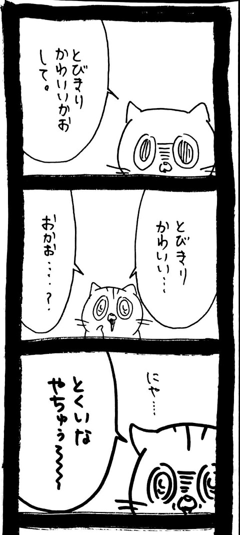 13_2