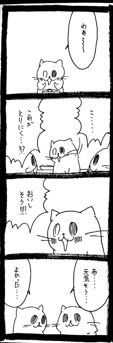 24_2