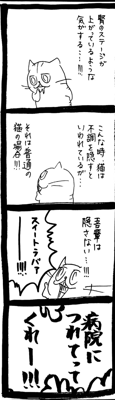 53_3