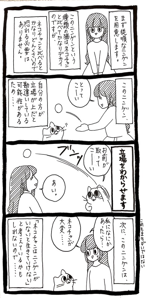 51_1