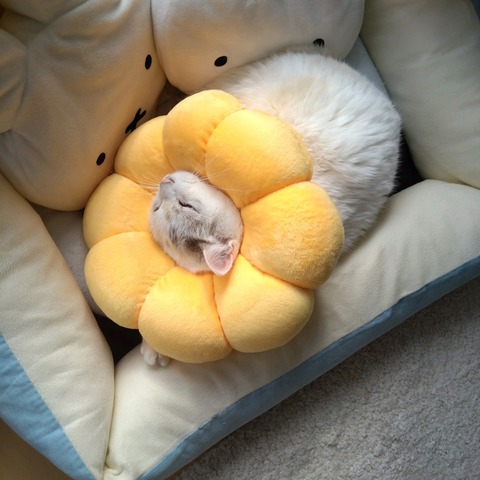 23-02-20-13-45-31-615_photo