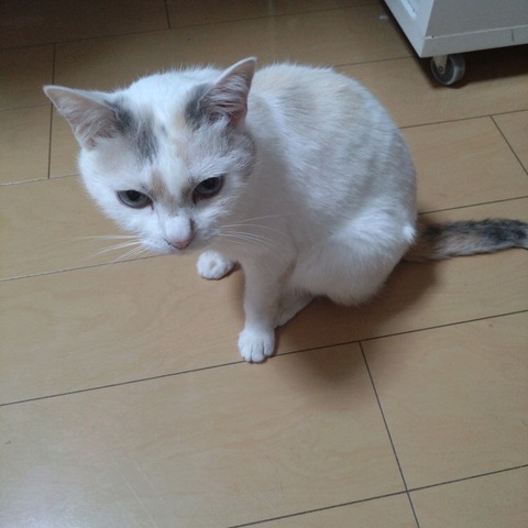 23-07-12-22-59-07-882_photo