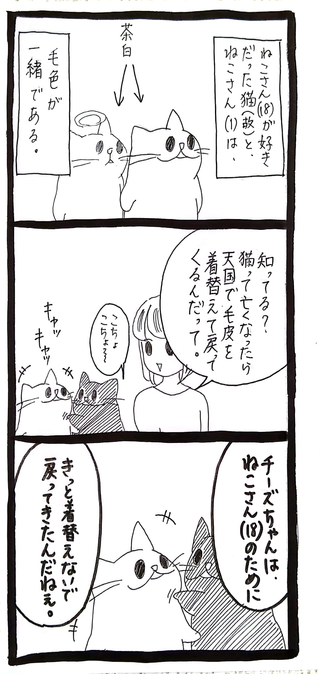 ねこさん 18 の愛した猫26 ﾈｺﾁｬﾝのﾆﾝｹﾞﾝ育成日記 Powered By ライブドアブログ