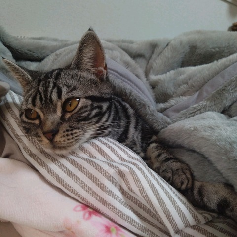 24-12-23-13-24-06-975_photo