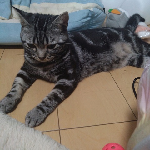 24-10-08-22-55-09-827_photo