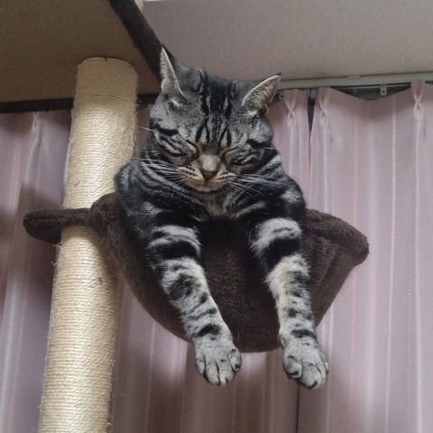 25-03-02-22-13-18-855_photo