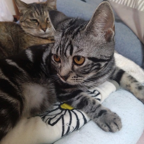 24-08-06-17-20-59-118_photo