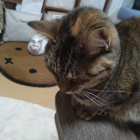 24-02-20-22-01-59-271_photo