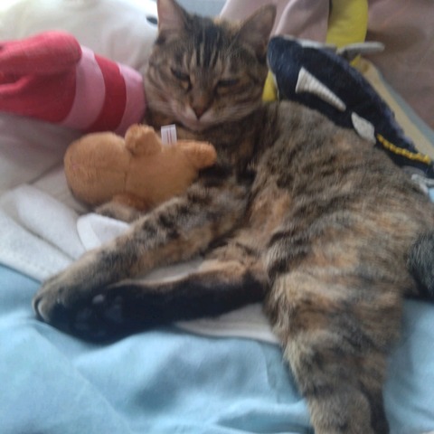 24-07-27-16-46-15-006_photo