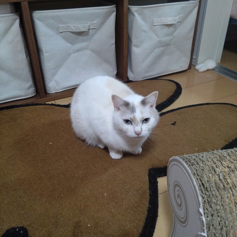 23-02-28-20-44-34-849_photo