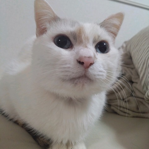 25-02-08-23-06-43-494_photo