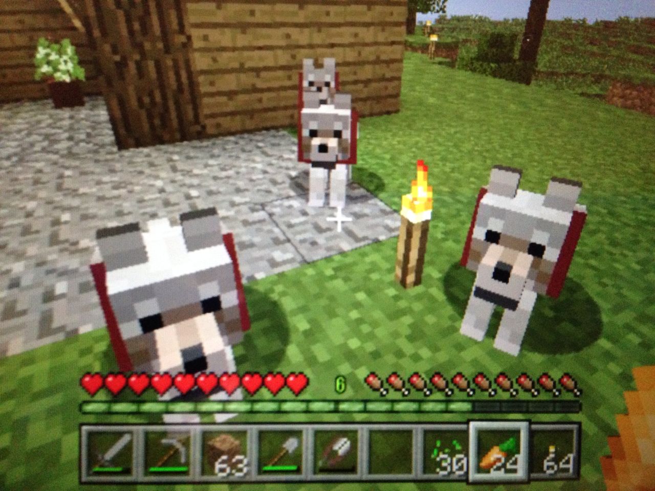 うさぎの家造り と オオカミさん うさぎのマインクラフト うさぎの家造り と オオカミさん うさぎのマインクラフト