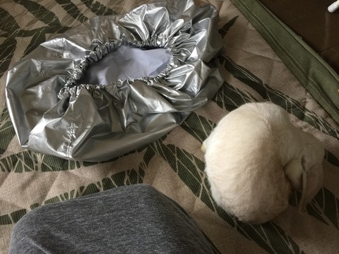 942096AB-2DFB-470F-A273-1E82C3E8DFC0