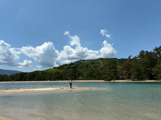 232438EE-9CC9-4554-9C18-0E53F138F208_1_105_c