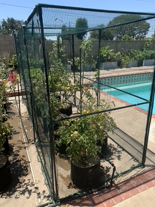 E38BD8E9-01AA-4DF4-B5B2-AAF2C54AC1BC_1_105_c