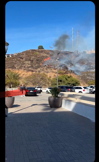 66EB0395-D1C8-4E82-9278-336B20739C8D_1_105_c