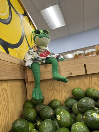 13A79D90-D710-4F19-BB19-1C8B1101D4D1_1_105_c