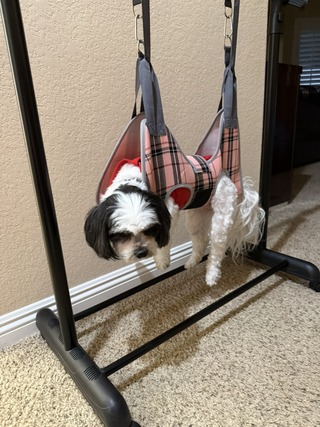 CE02F716-CEE2-45F8-A85C-A3D7B6C0E13D_1_105_c