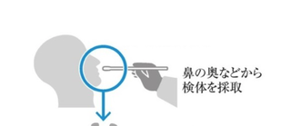 Screen Shot 2020-10-01 at 11.23.30 AM