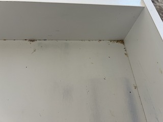 ED9B1080-C1E8-4FA8-B026-4119096C94E7_1_105_c