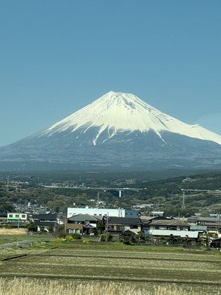 5900F9C9-F139-46D6-B50F-4772E5885DDA_1_105_c