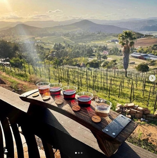 Screen Shot 2022-05-16 at 1.17.48 PM