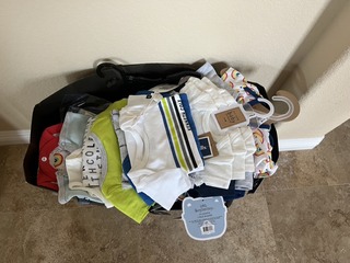 119AE8C7-C6CB-4EB1-B300-1420893FF566_1_105_c