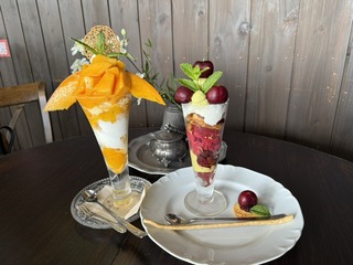 B9D1917A-1556-4E0D-9EF2-B125469B81CE_1_105_c